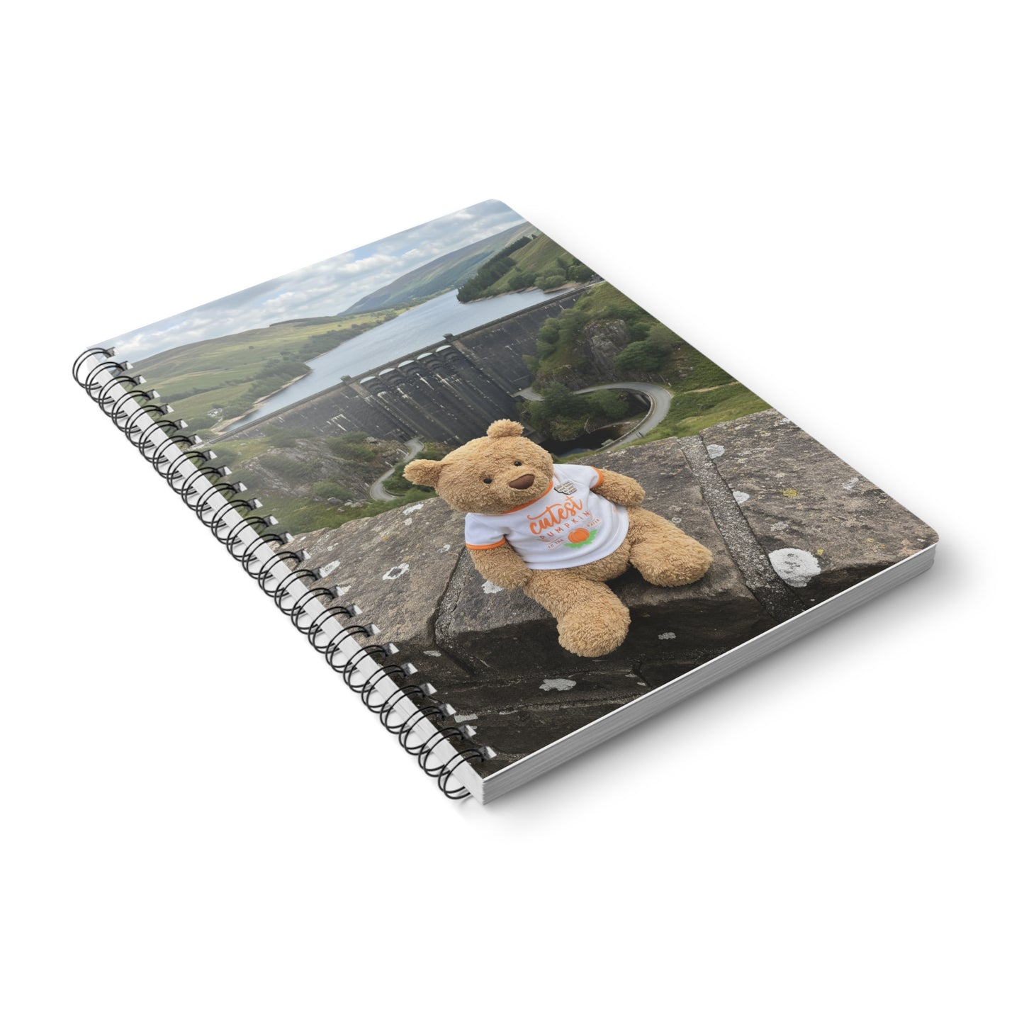 Teddy On tour Bartholomew in Elan Valley Softcover Notebook, A5