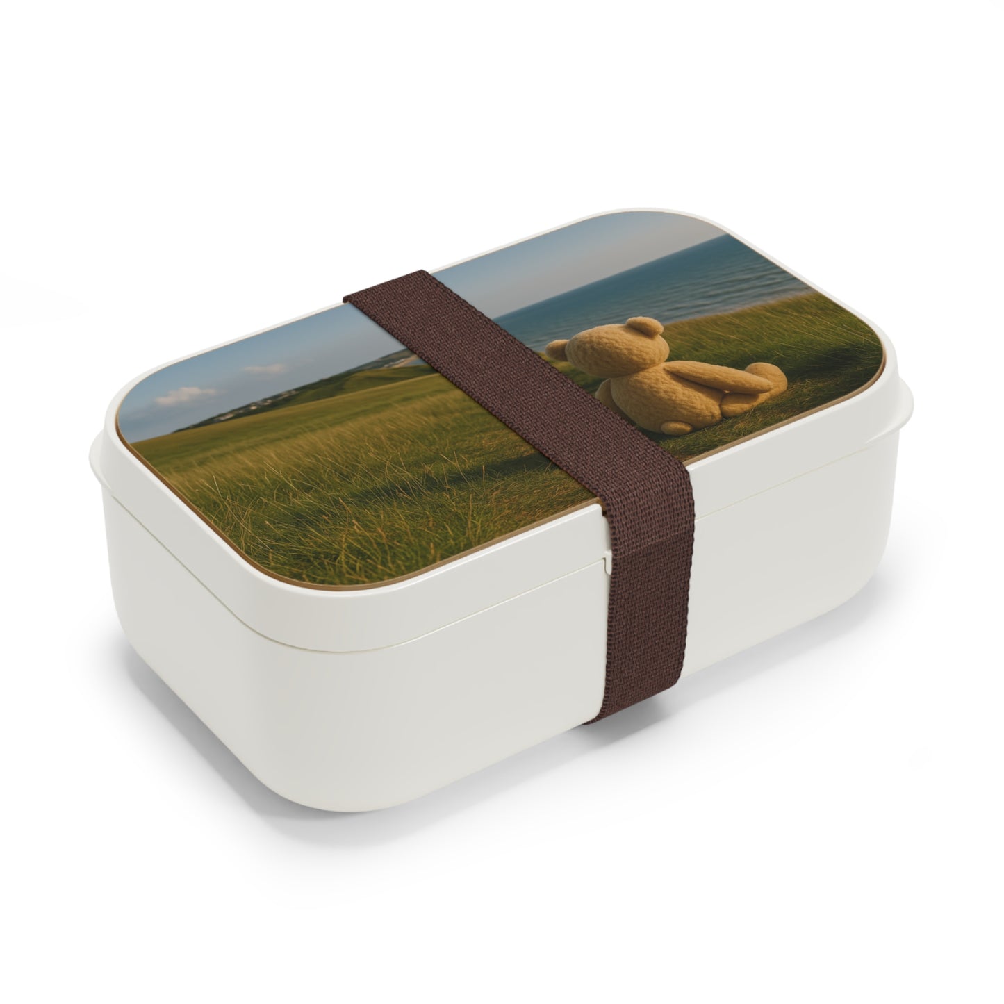 Teddy on Tour Bexhill Galley Hill Bento Lunch Box