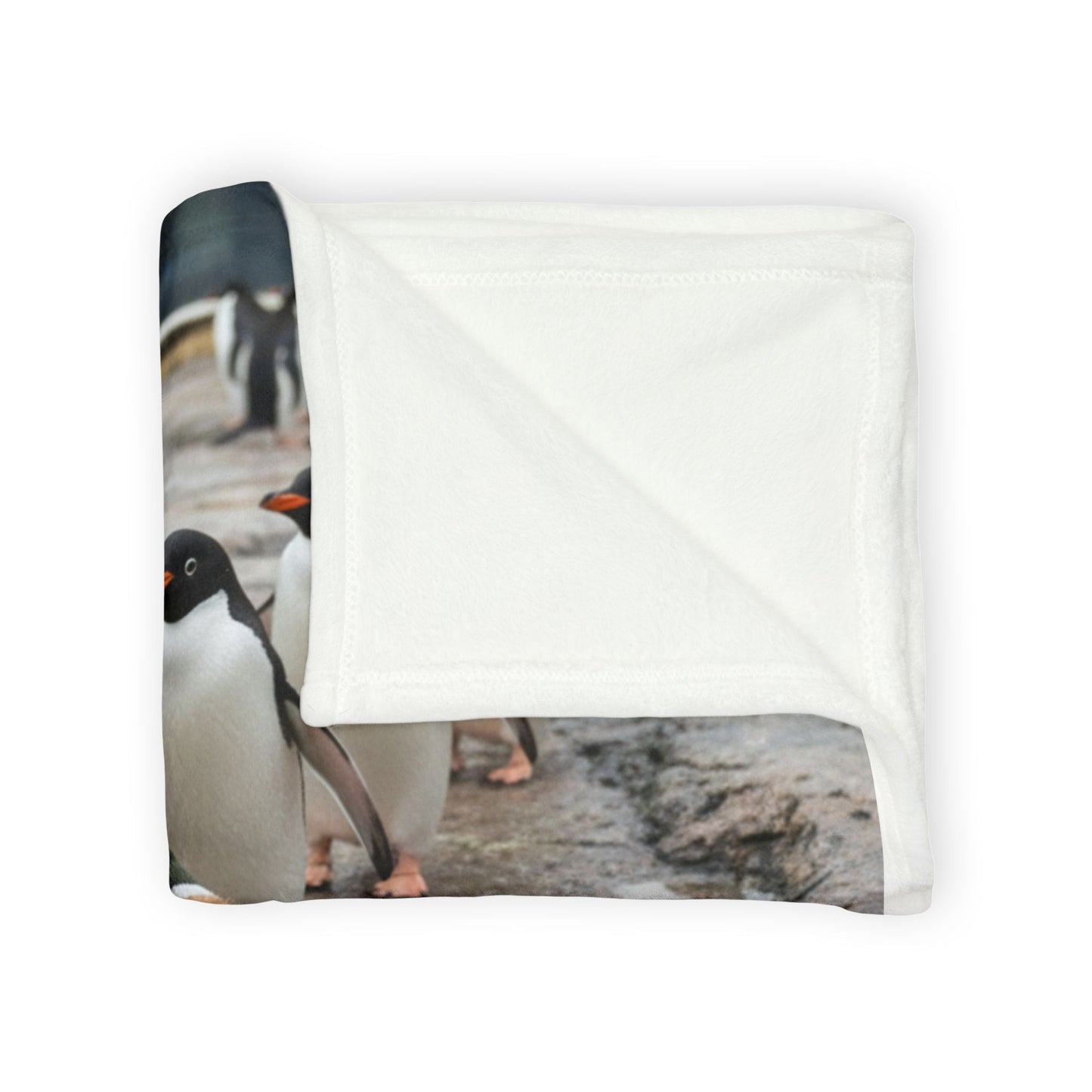 Teddy On Tour Harry at the Zoo Soft Polyester Blanket