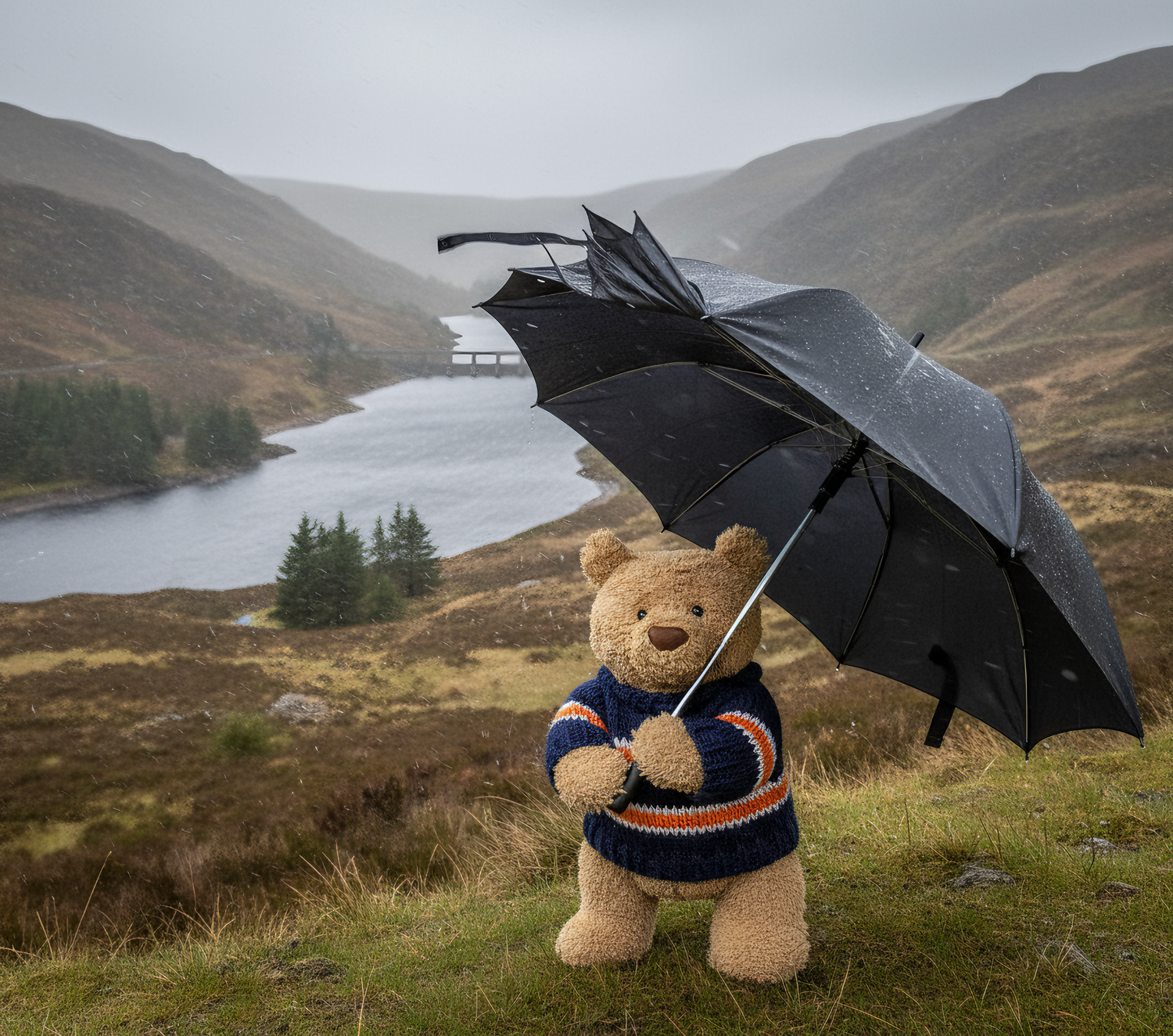 Bartholomew in Elan Valley