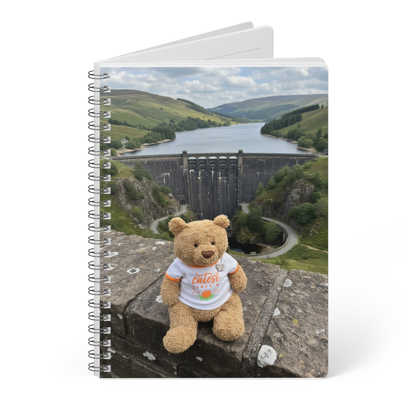 Teddy On tour Bartholomew in Elan Valley Softcover Notebook, A5