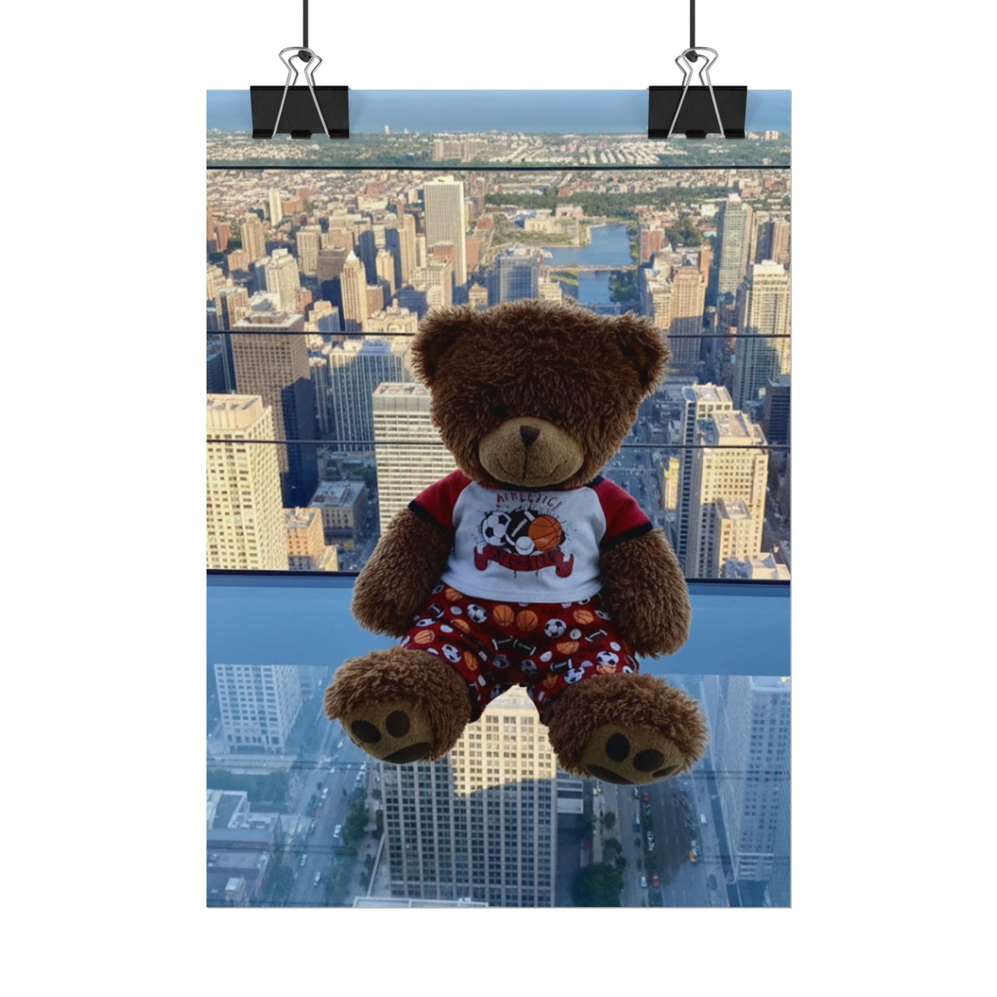 Teddy On Tour Jake in Chicago Rolled Posters