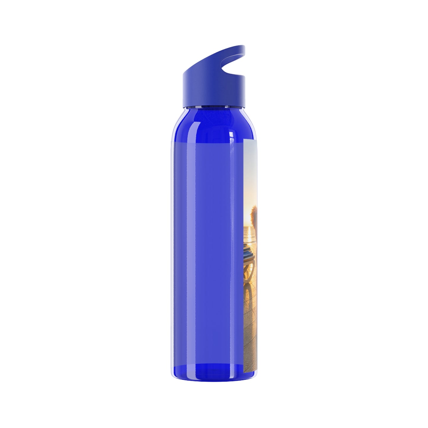 Teddy on Tour  Sky Water Bottle ( look for a matching lunchbox )