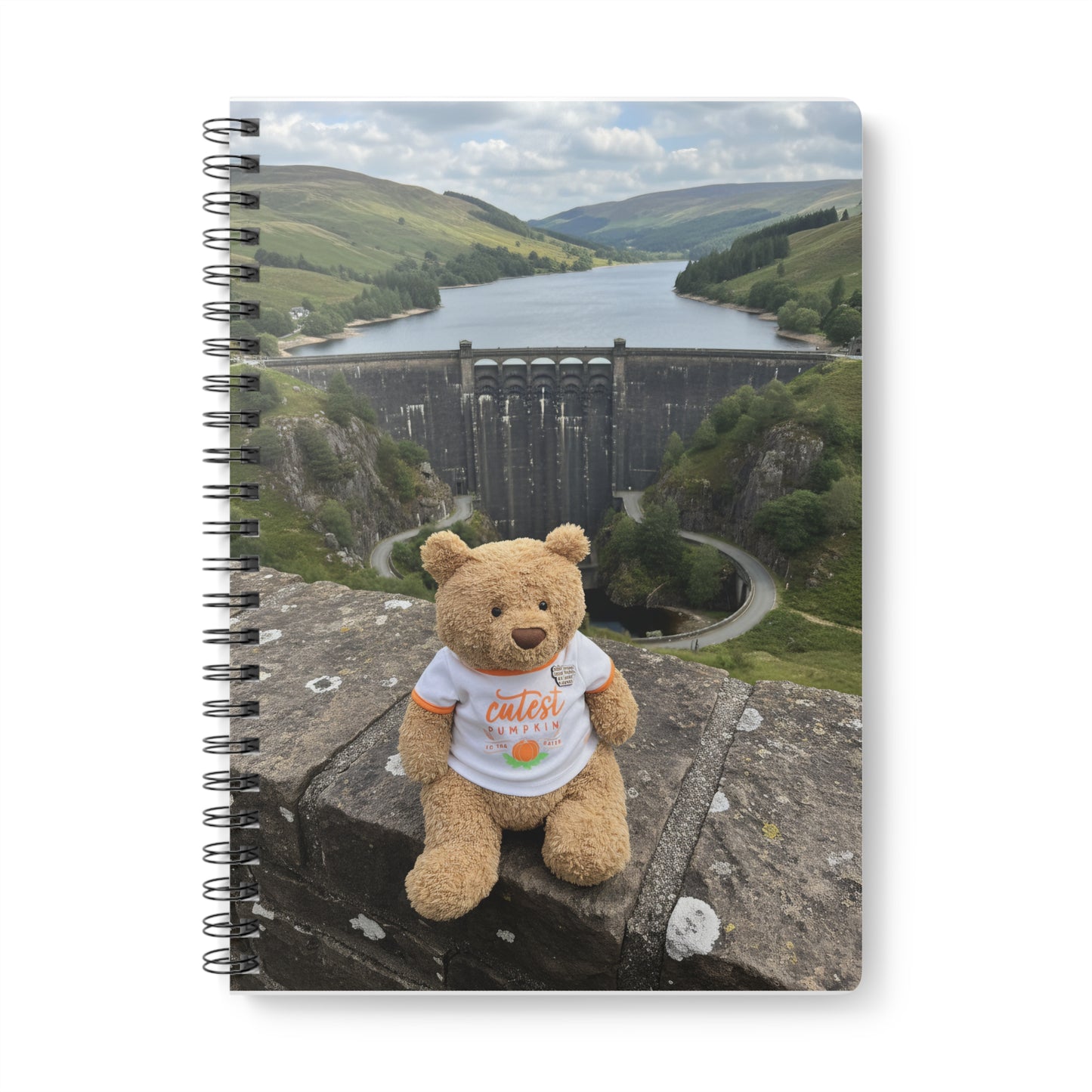 Teddy On tour Bartholomew in Elan Valley Softcover Notebook, A5