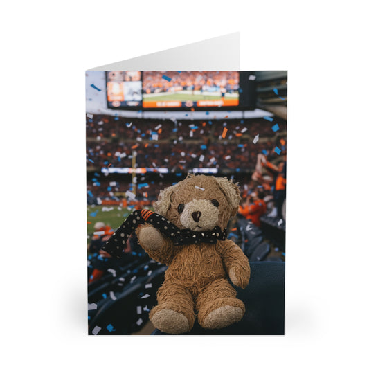 Teddy On Tour –Ben visits the Chicago Bears  Greeting Cards (5 Pack)