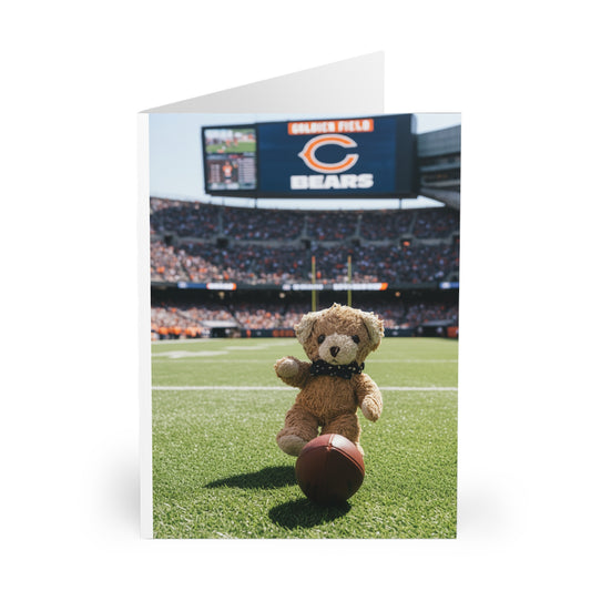 Teddy On Tour –Ben visits the Chicago Bears  Greeting Cards (5 Pack)