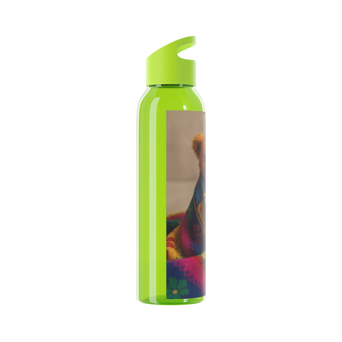 Teddy on Tour  Sky Water Bottle ( look for a matching lunchbox )