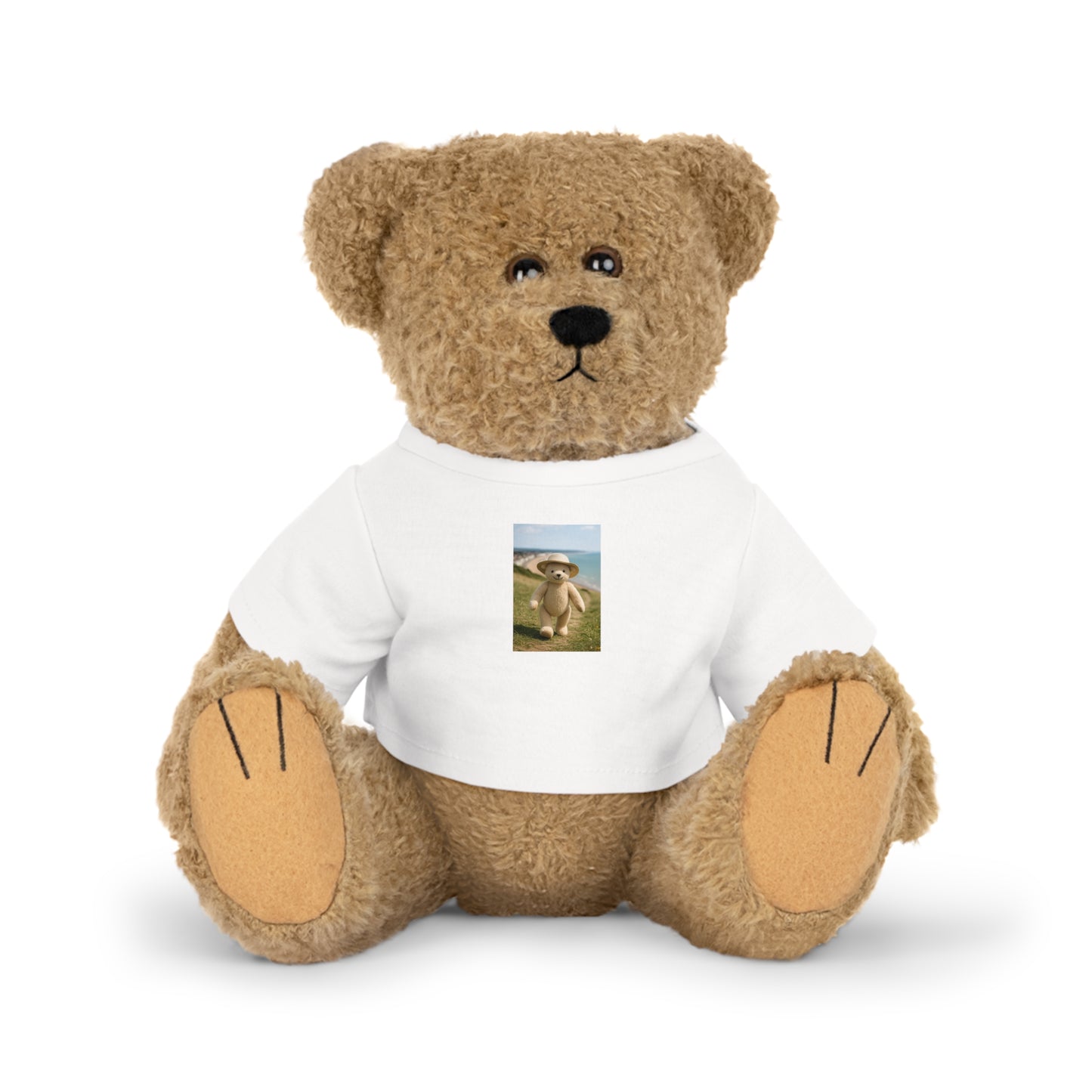 Teddy On Tour – Bexhill Galley Hill Plush Toy with T-Shirt