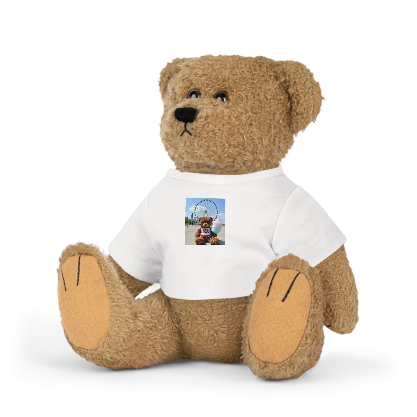 Teddy On Tour – Jake in Chicago Plush Toy with T-Shirt