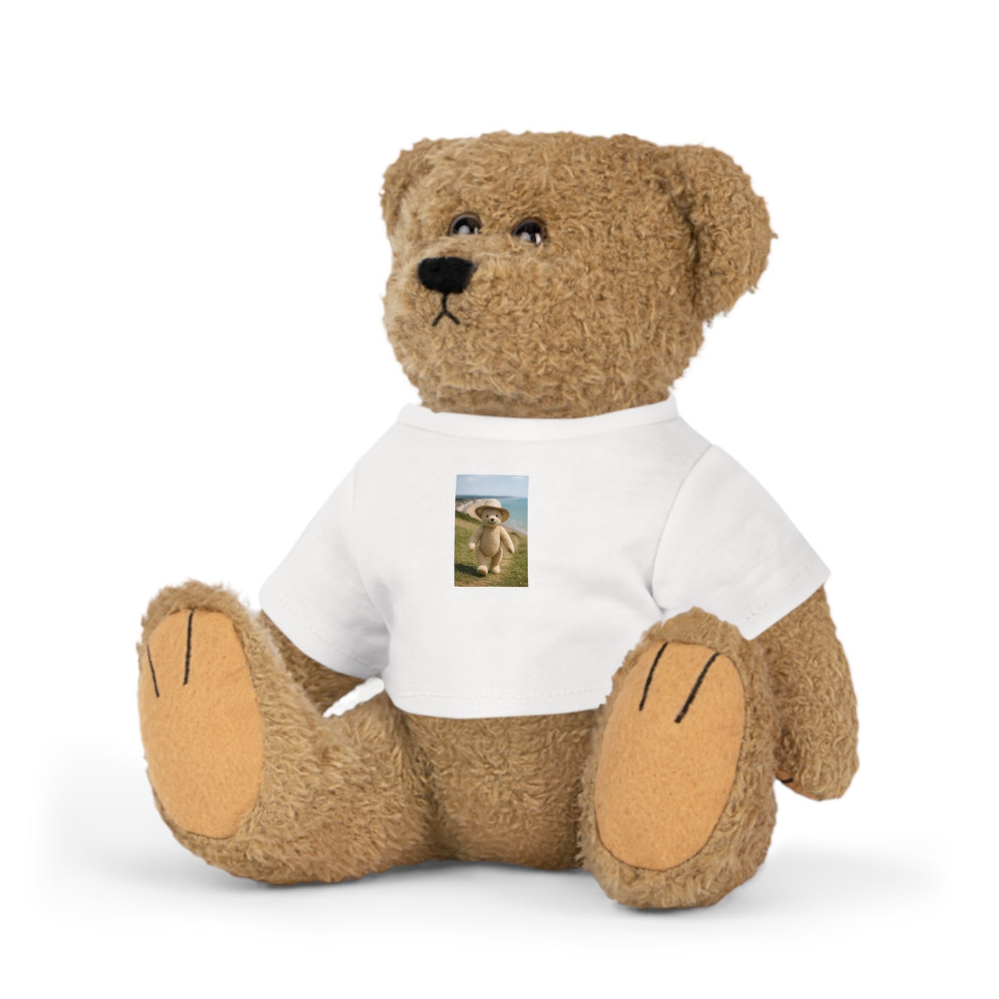 Teddy On Tour – Bexhill Galley Hill Plush Toy with T-Shirt