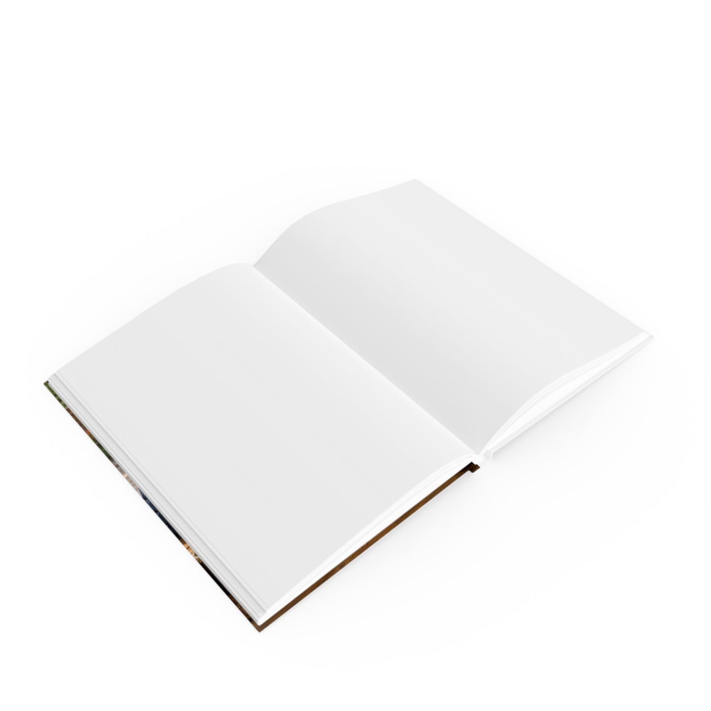 Teddy on Tour stationery Hard Backed Journal