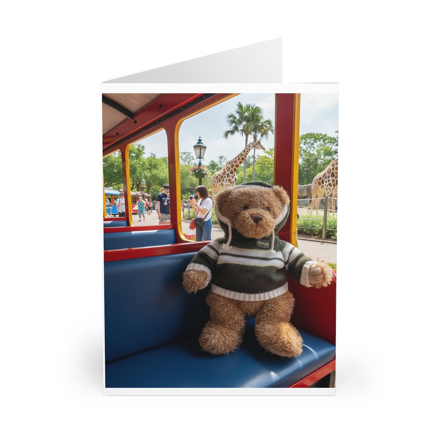 Teddy On Tour –Harry at the Zoo Greeting Cards (5 Pack)
