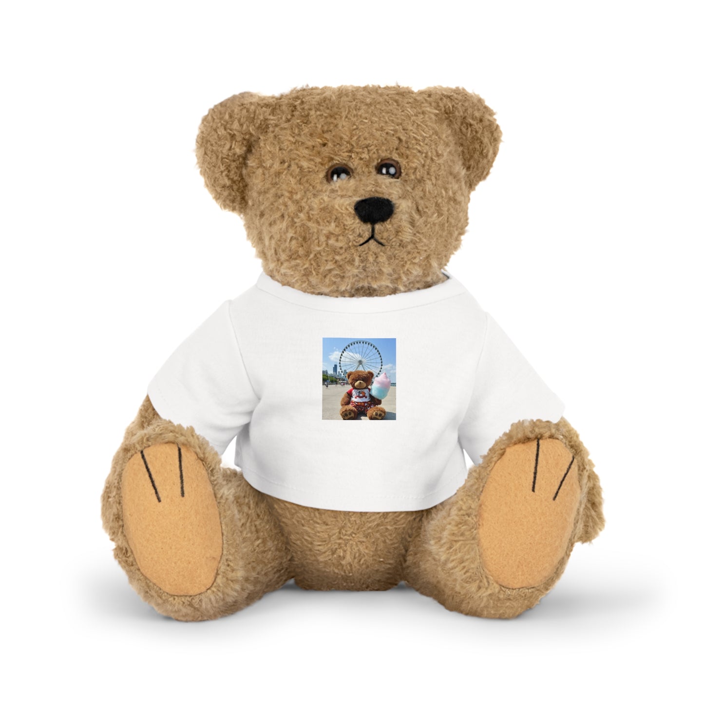 Teddy On Tour – Jake in Chicago Plush Toy with T-Shirt