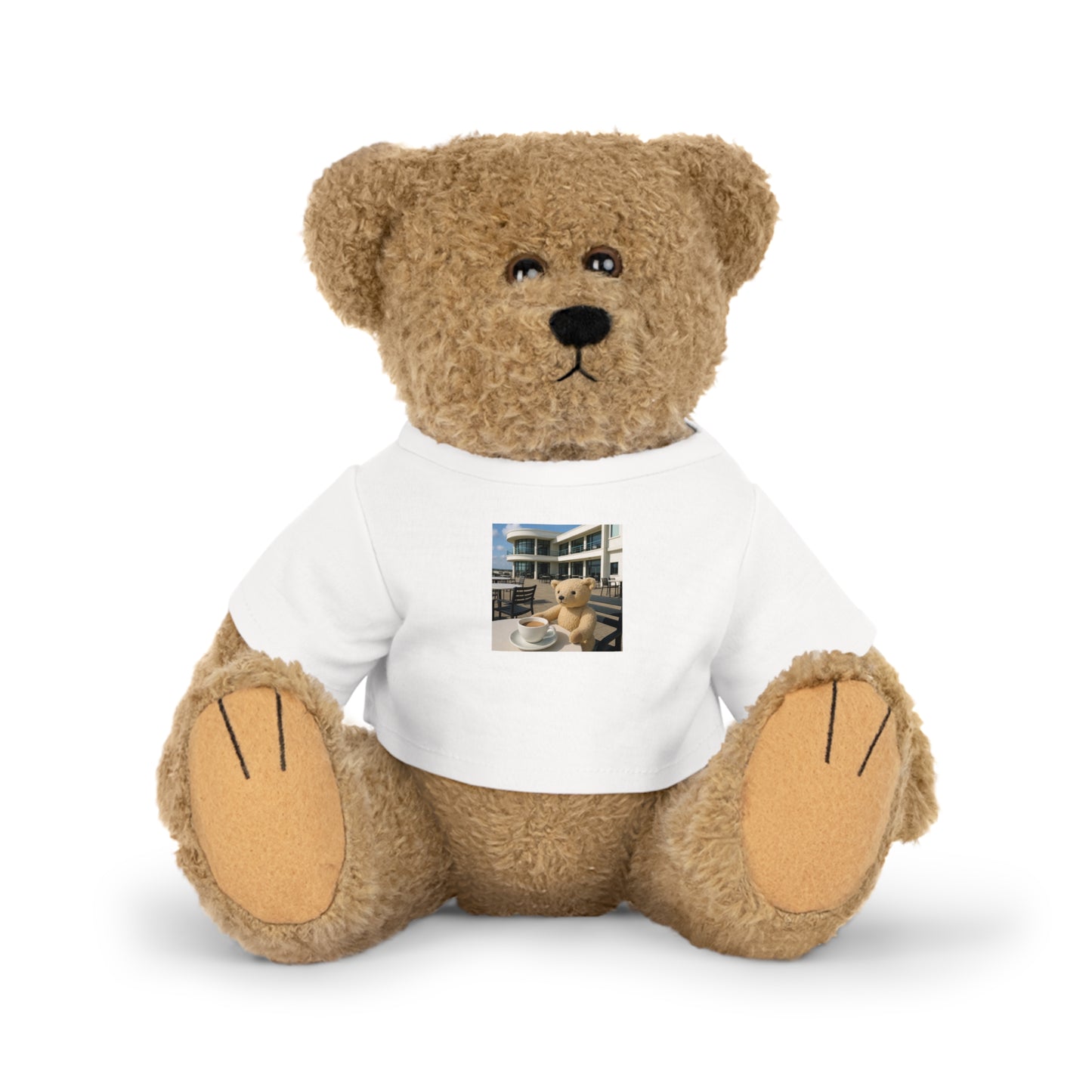 Teddy On Tour – Bexhill Pavilion Plush Toy with T-Shirt