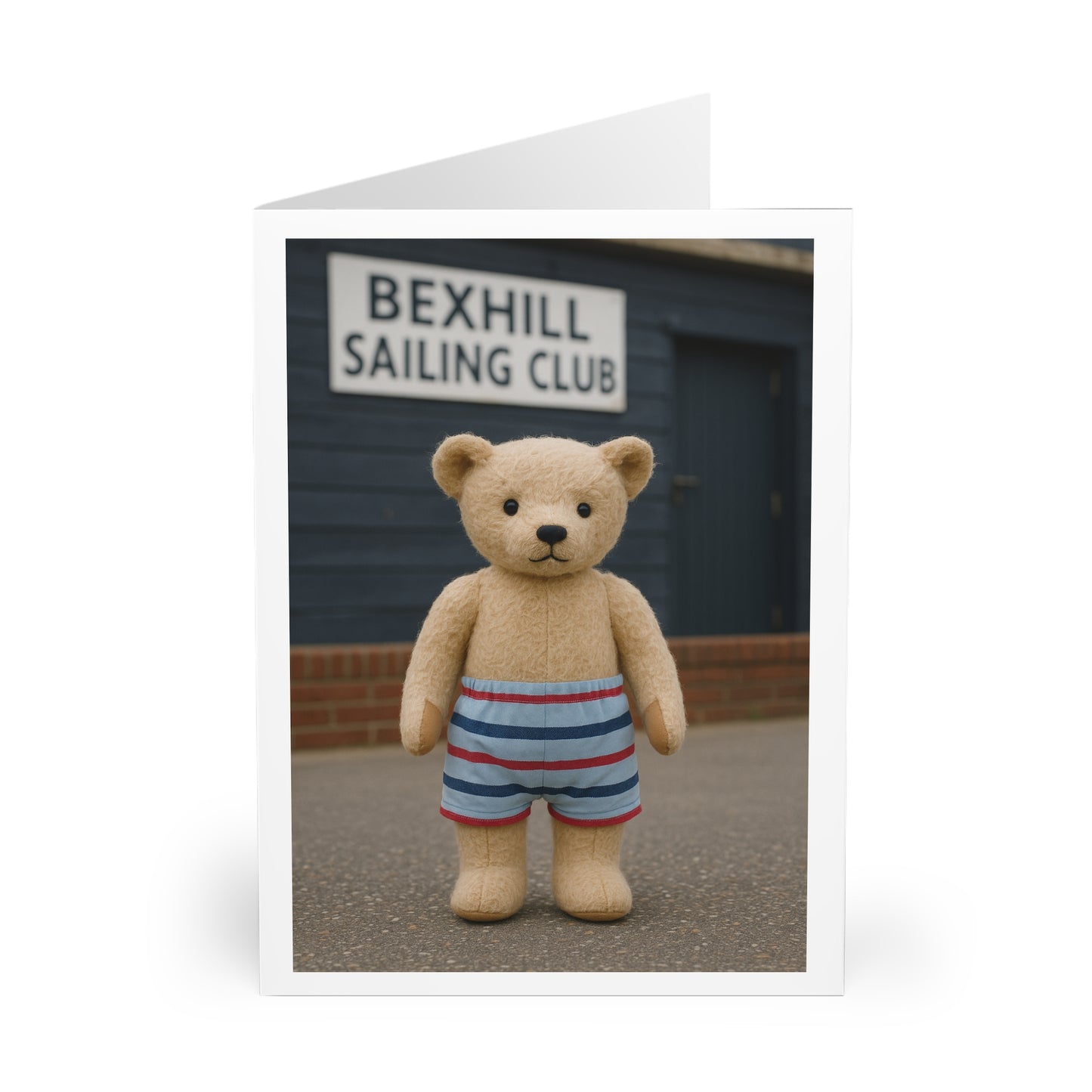 Teddy On Tour – Bexhill Sailing Club Greeting Cards (5 Pack)