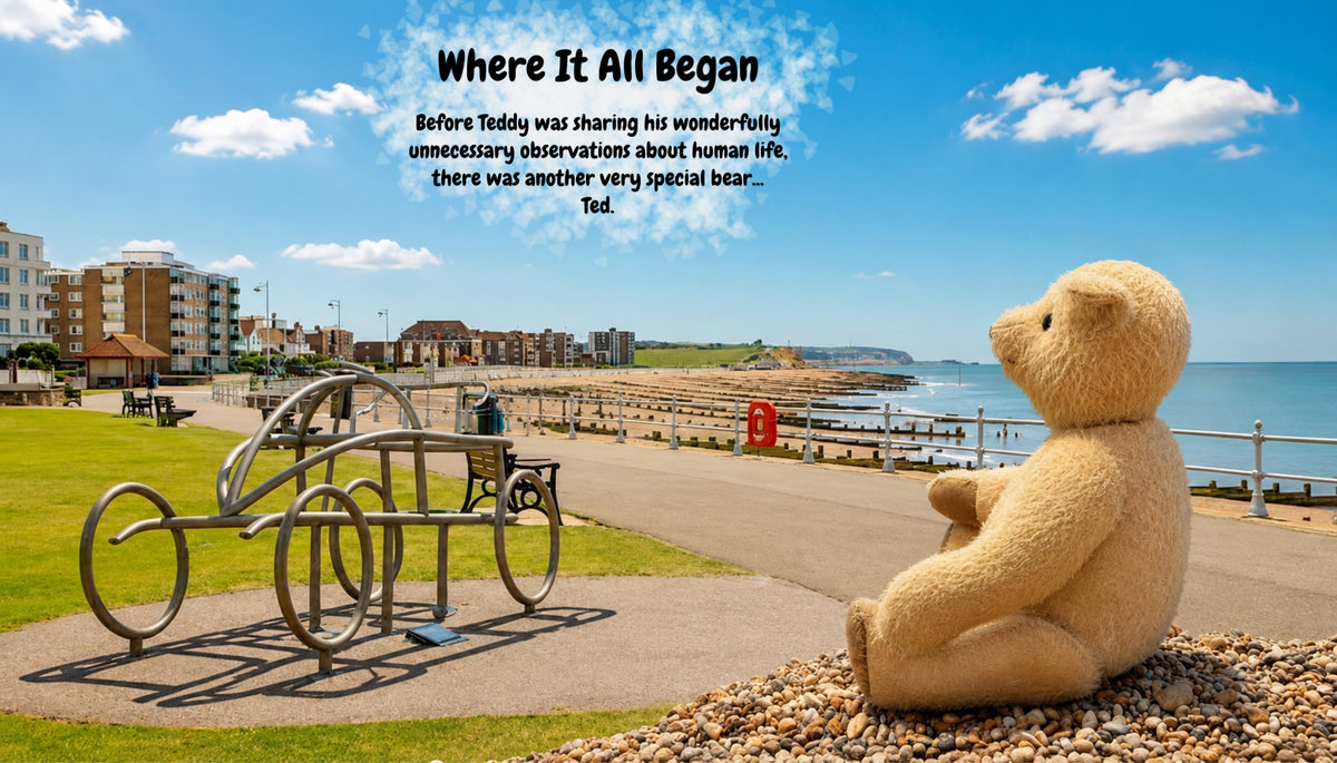 A large beige teddy bear sits on a pebble-covered ledge by the seaside, with a metal bicycle sculpture and a coastal promenade in the background. Text at the top reads 'Where It All Began' with a short story about a teddy bear.